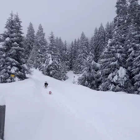 Zirben Karin By Interhome Daire İnnsbruck