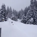 Zirben Karin By Interhome Apartment Innsbruck